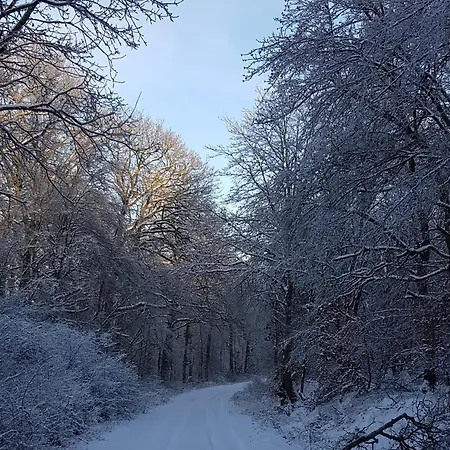 Apartment Zahn Otzweiler