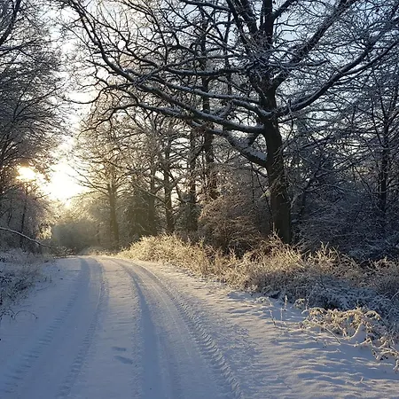 Zahn Apartment Otzweiler