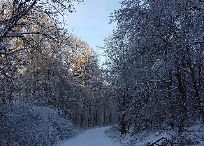 Appartement Zahn Otzweiler