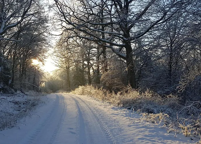 Zahn Apartamento Otzweiler